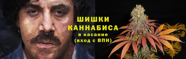 молекула духа Михайлов