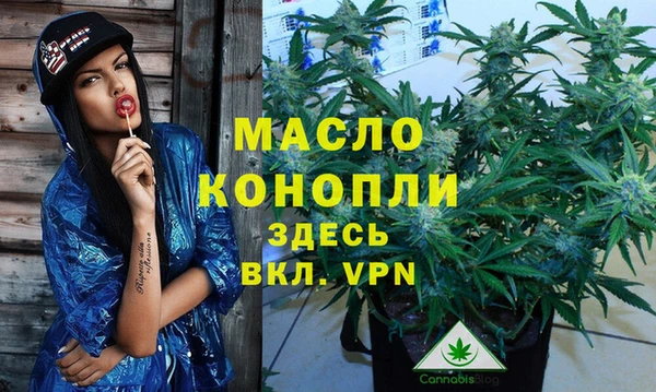 крисы Медногорск