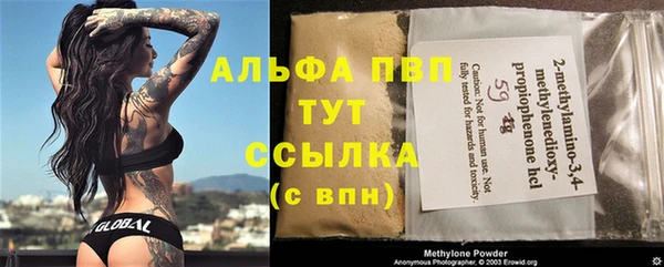 крисы Медногорск