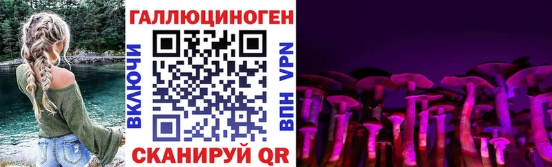 как найти   Острогожск  Псилоцибиновые грибы мухоморы 