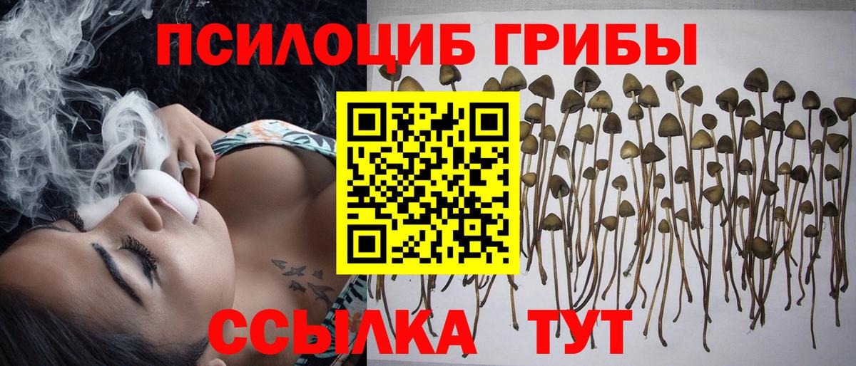 Острогожск  Псилоцибиновые грибы GOLDEN TEACHER  Вход с VPN  Псилоцибиновые грибы MAGIC MUSHROOMS 