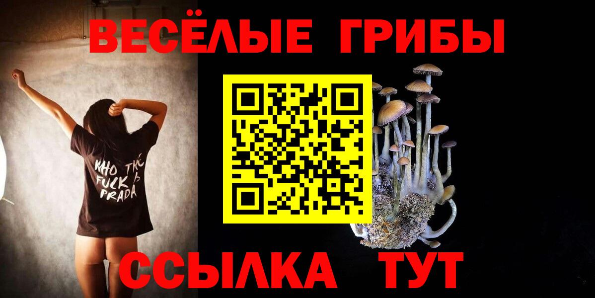 Галлюциногенные грибы GOLDEN TEACHER Острогожск